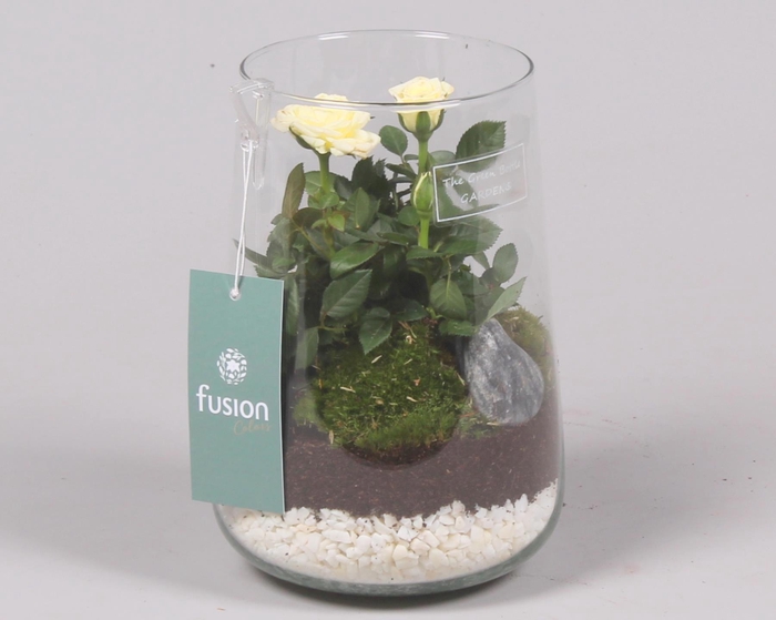 <h4>Green Bottle Deline Medium met Potroos</h4>