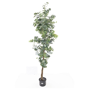 Eucalyptus Tree in Pot Green PP550021GRN