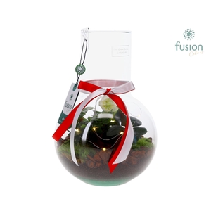 Green Bottle Suzanne Medium met Helleborus