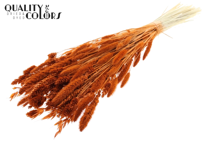 <h4>Dried Flower Mix bunch Bleached Terracotta</h4>