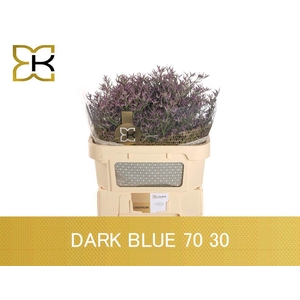Lim Saf Dark Blue