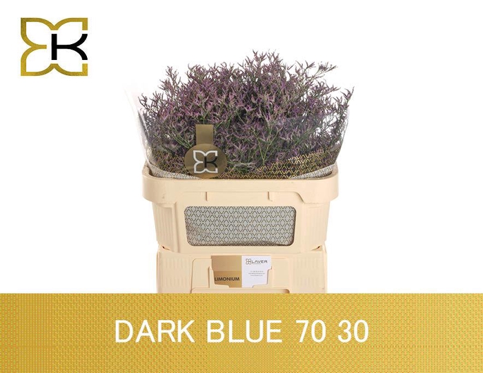 <h4>Lim Saf Dark Blue</h4>