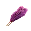 Sacuara Lilac