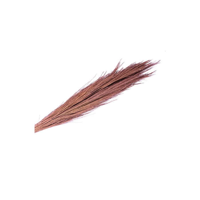 <h4>DRIED FLOWERS - BROOM GRASS 100GR PINK</h4>