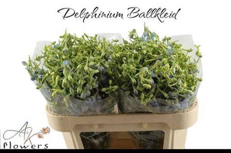 <h4>Delph En Ballkleid</h4>