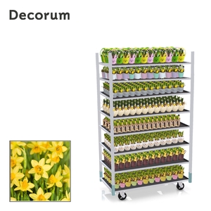 CC EASTER MINI 2026 - 1 prijs per stuk, incl. fust