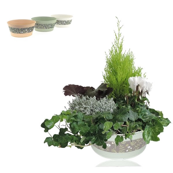 Collectie Florentina Arrangement in Zinken Schaal 25 cm