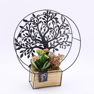 ESCR-2608RZ Essentials