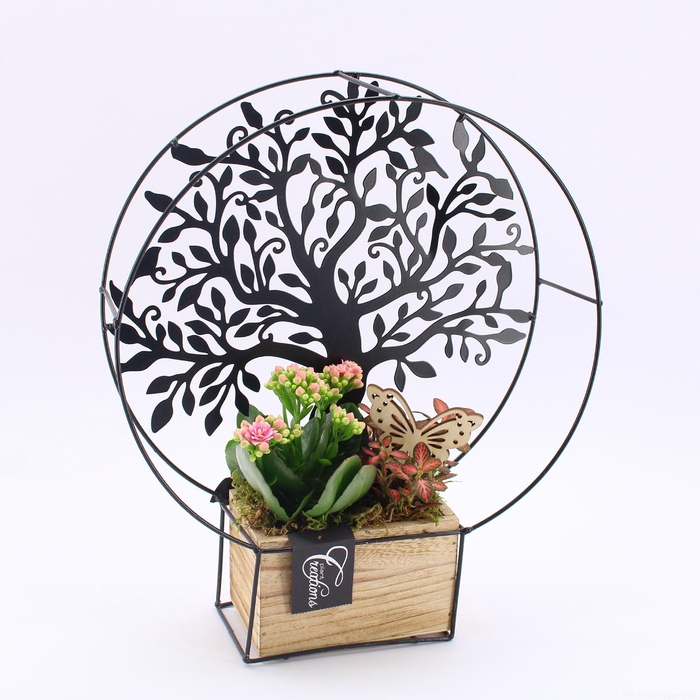 <h4>ESCR-2608RZ Essentials</h4>