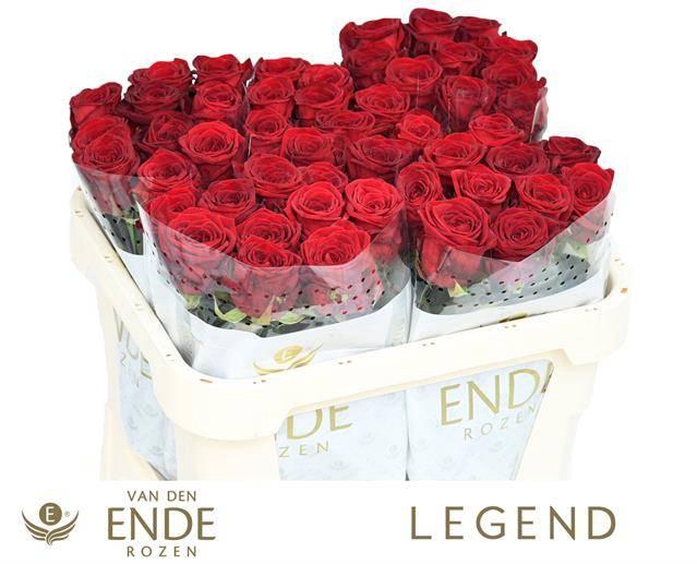 <h4>R GR RED NAOMI!</h4>