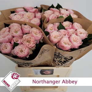 R Bu Northange Abbey