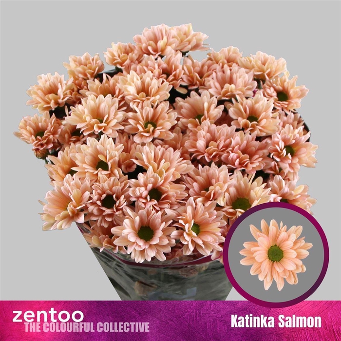 <h4>Chr T Katinka Salmon</h4>