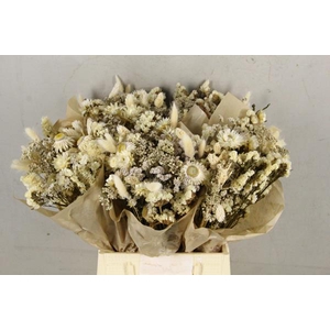 Df Bouquet 50cm Neon White