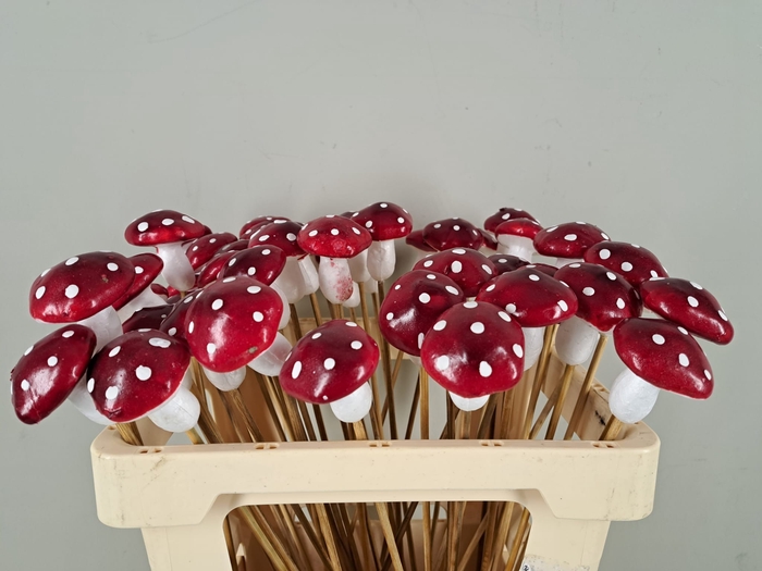 <h4>Stick Mushroom 6cm Red/White</h4>