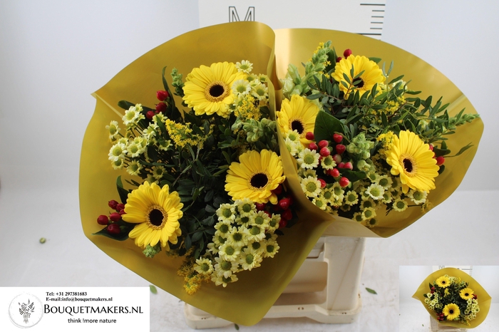 <h4>GEM BOEKET OV</h4>