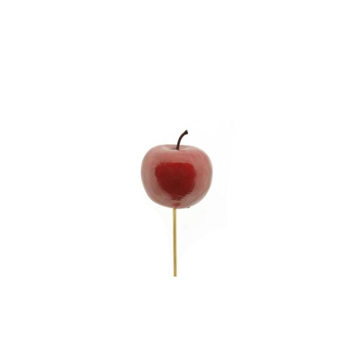 <h4>Bijsteker 50cm Appel 6cm</h4>