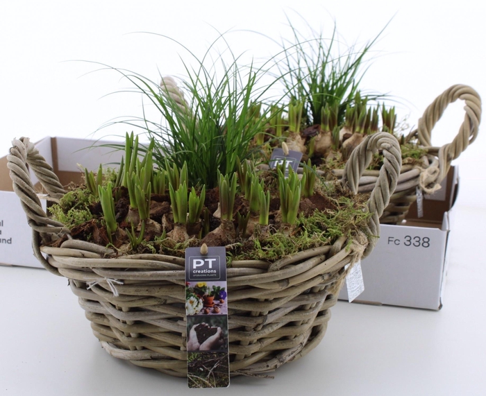 <h4>ARR PL IN SCHAAL</h4>