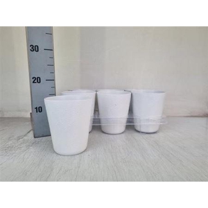 Deco Pot H% Wit Bloem Motief