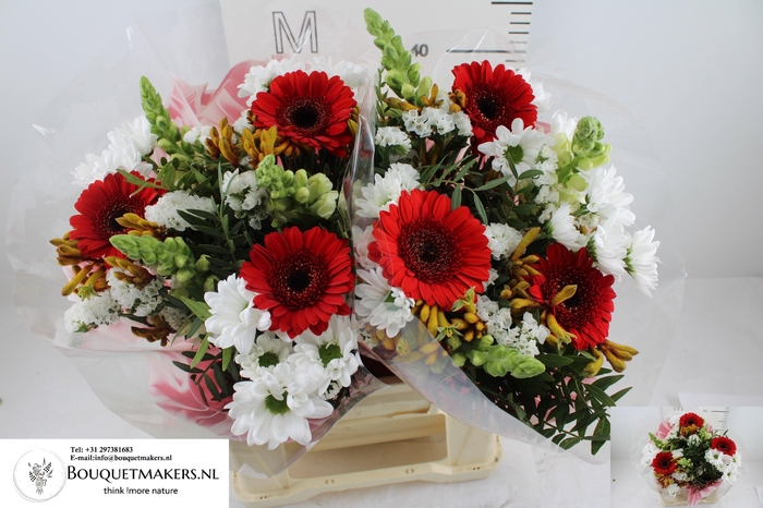 <h4>GEM BOEKET OV</h4>