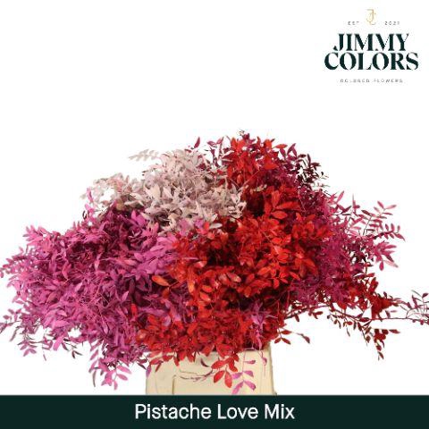<h4>Pistache L45 Love mix</h4>