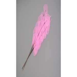 Dried Bleached Ficus Stem Pink
