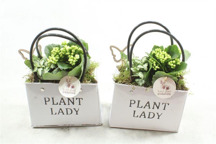 <h4>1.ZKE01 WHITE BAGG</h4>