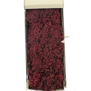 Dried Pepper Berries Bordeaux