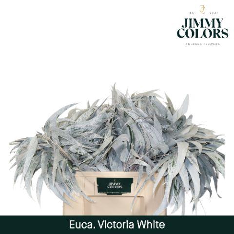 <h4>Victoriablad Gekleurd Klbh. Wit</h4>