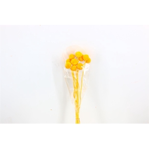 Pres Craspedia Giant 10pcs Yellow Bunch