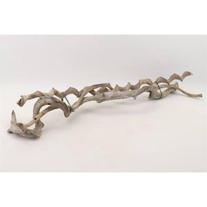 Bundle Curly Vine 3pcs L100 D2/5