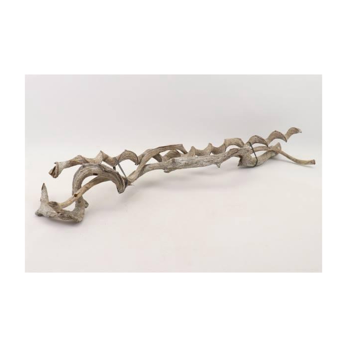 <h4>Bundle Curly Vine 3pcs L100 D2/5</h4>