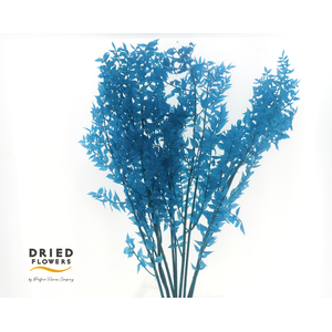 Dried Bleached Ruscus Dark Blue