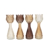 Bicolore Natural Brown Mix Tulip Vase Ass 7x22cm