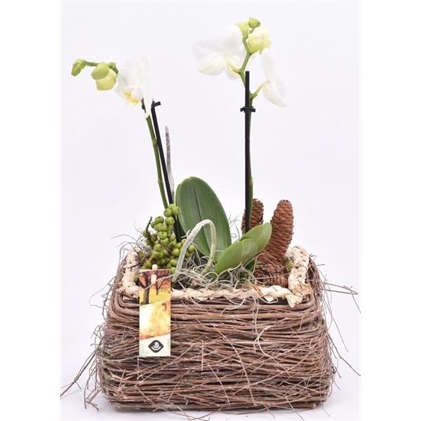 <h4>Natuur mand 18x12cm</h4>