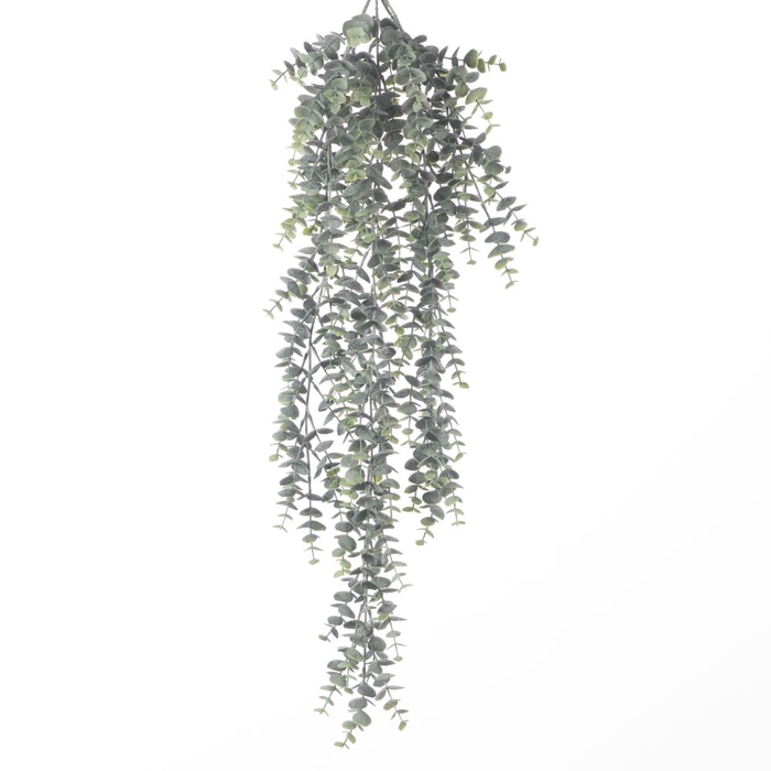 <h4>Af Hang Bush Eucalyptus X5 L78</h4>