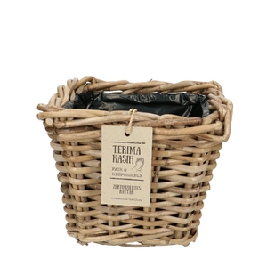 Manden rotan Terima pot d22*19cm vk
