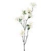 Wild clematis spray white 81cm