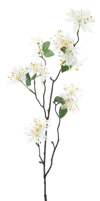 <h4>Wild clematis spray white 81cm</h4>
