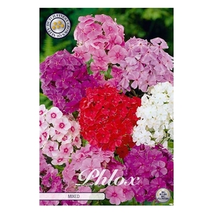 Phlox Mixed x3 l