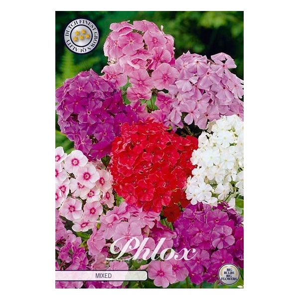 <h4>Phlox Mixed x3 l</h4>