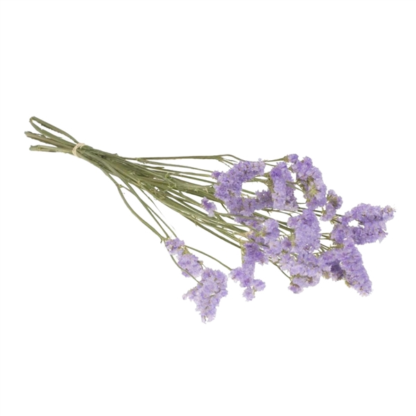 <h4>Droogbloemen - Statice Lilac</h4>