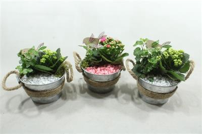 <h4>1193 ZINK TOUW R/W</h4>