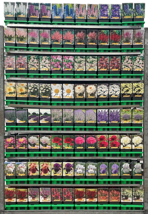 <h4>Vaste planten mixkar</h4>