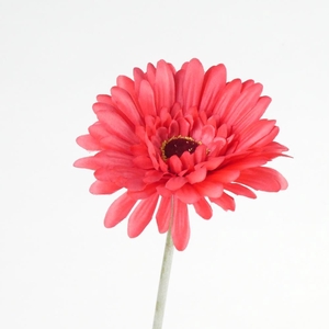 AF Gerbera L58cm Red