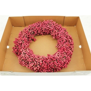 Wr Schinus Pink 30cm X9