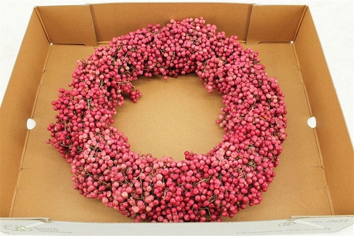 <h4>Wr Schinus Pink 30cm X9</h4>