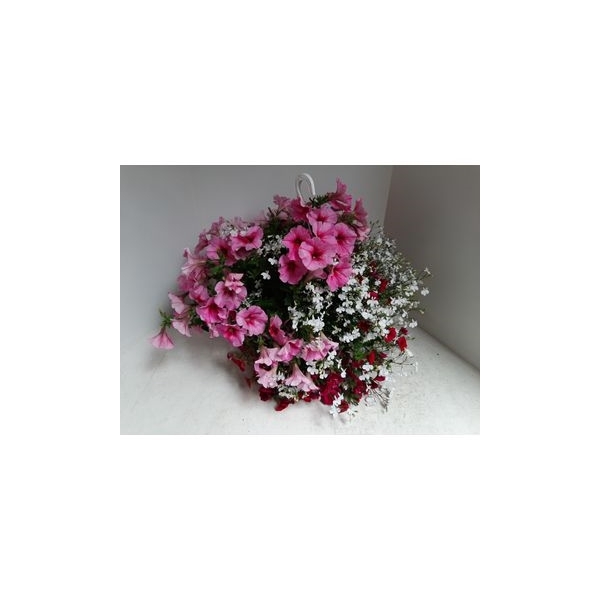 <h4>HANGMIX 23 CM MET DIVERS PLANTEN IN POT</h4>