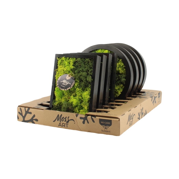 <h4>90932: Moss Art Mix Rectangular D24 & Round D27</h4>