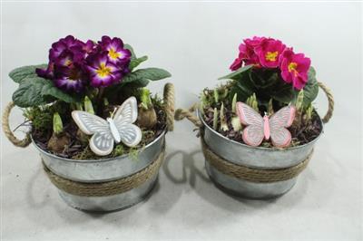 <h4>1184 Zink Rond BT</h4>