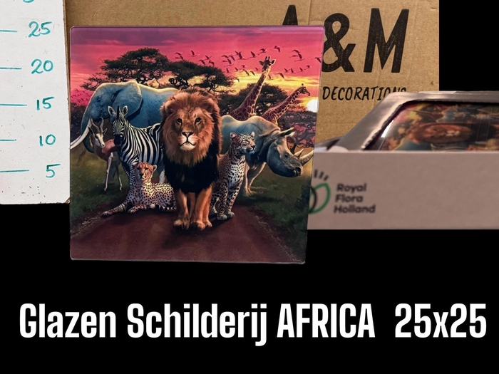 <h4>HUIS EN TUINDECO H%</h4>